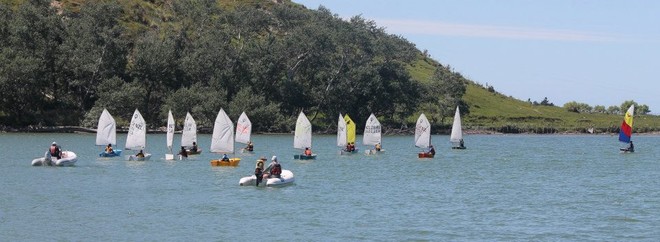 Optimist racing - Wairoa Regatta © Jill Metz-Mayhead